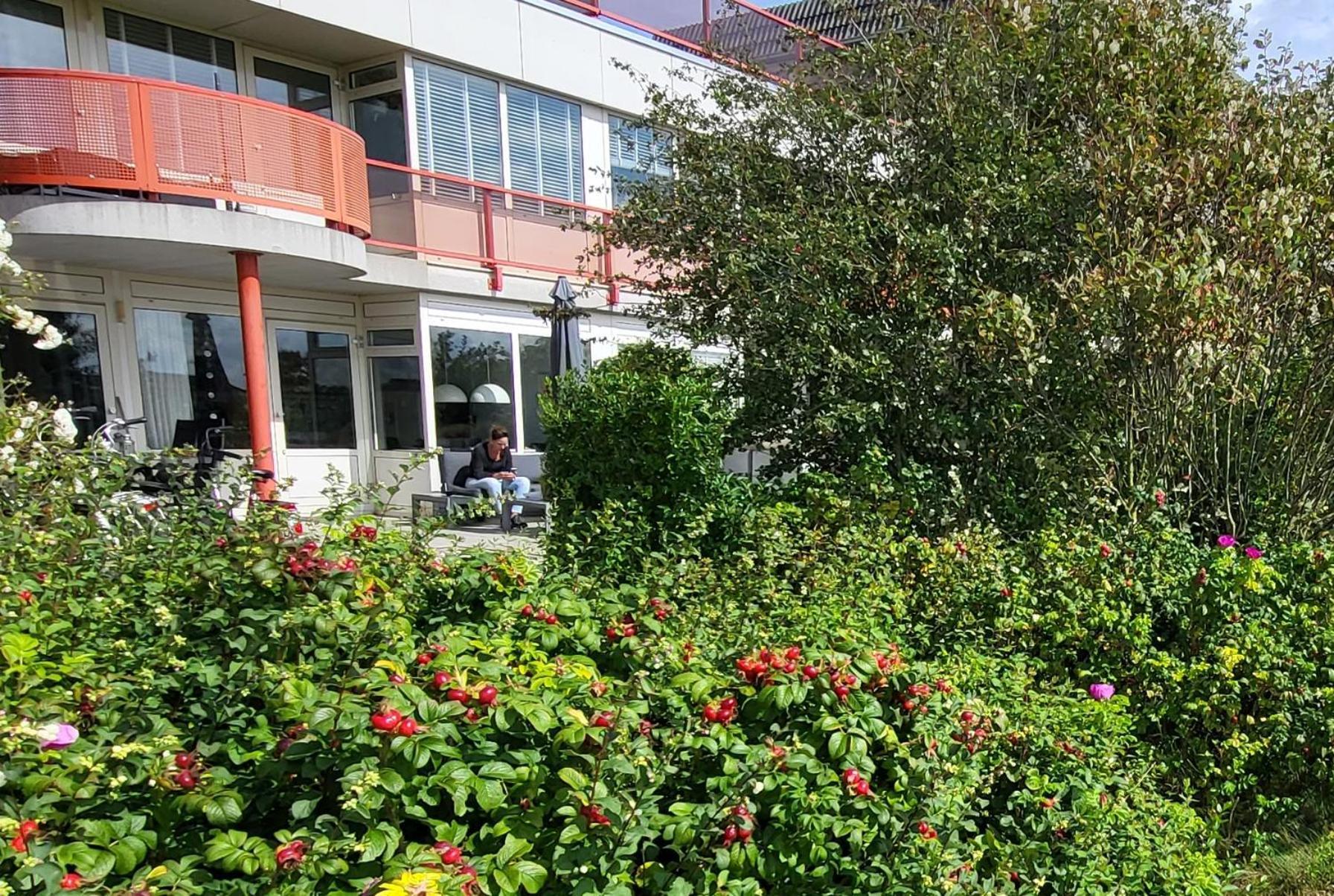Duinzicht, Amelander Paradijs, Zonnig 6 Persoons Appartement Met Groot Terras Op De Begane Grond, Vrij Uitzicht, Upgrade 2024 Buren  Extérieur photo