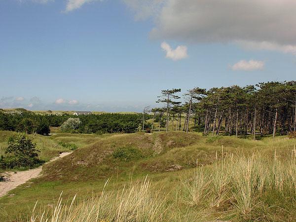 Duinzicht, Amelander Paradijs, Zonnig 6 Persoons Appartement Met Groot Terras Op De Begane Grond, Vrij Uitzicht, Upgrade 2024 Buren  Extérieur photo